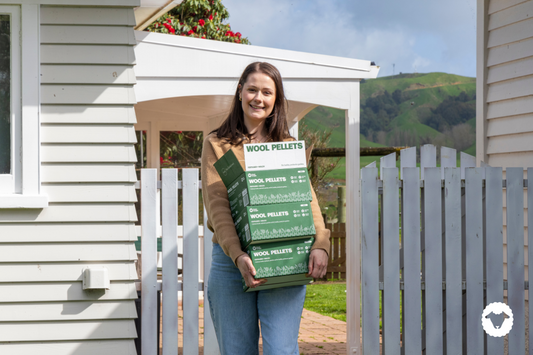 March in the garden: To Do List
