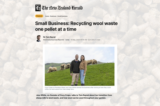 In the Media: NZ Herald