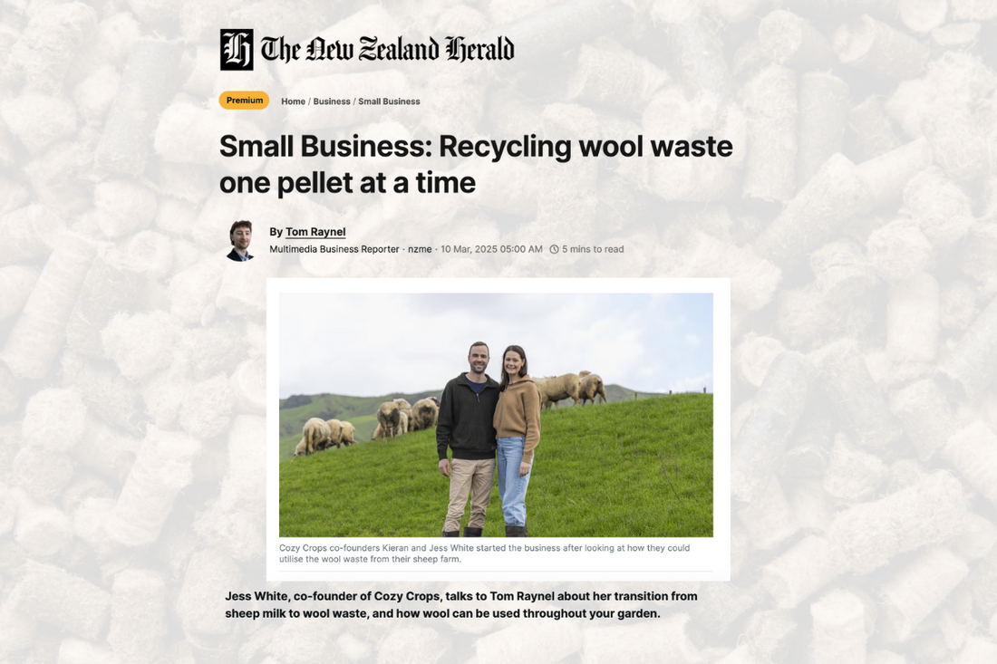 In the Media: NZ Herald